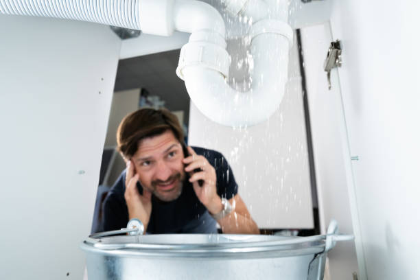 Best Affordable Plumbing Services  in Viola, IL