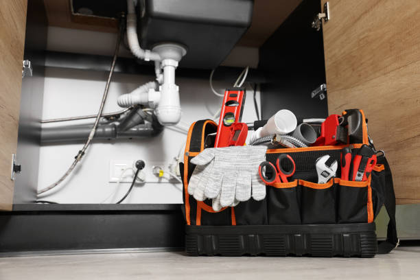 Best Emergency Plumbing Repair  in Viola, IL