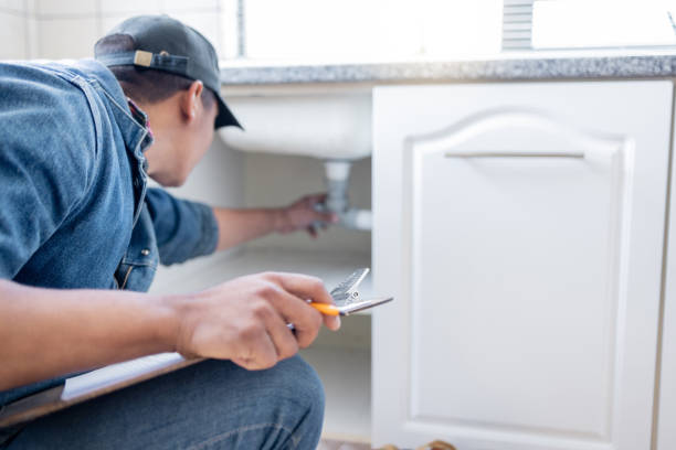 Best Emergency Plumbing Repair  in Viola, IL