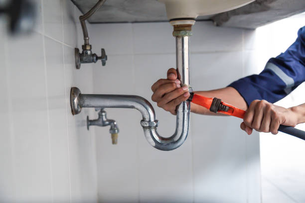 Best Clogged Drain Plumber  in Viola, IL