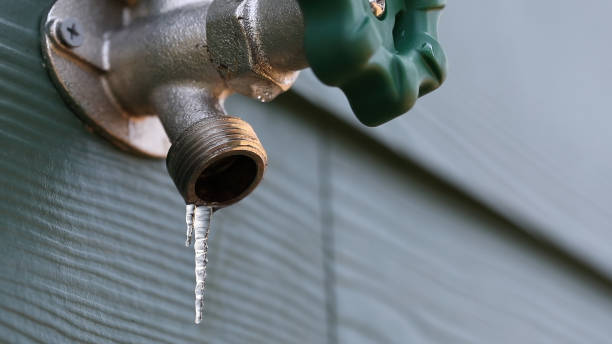 Best Septic Systems  in Viola, IL